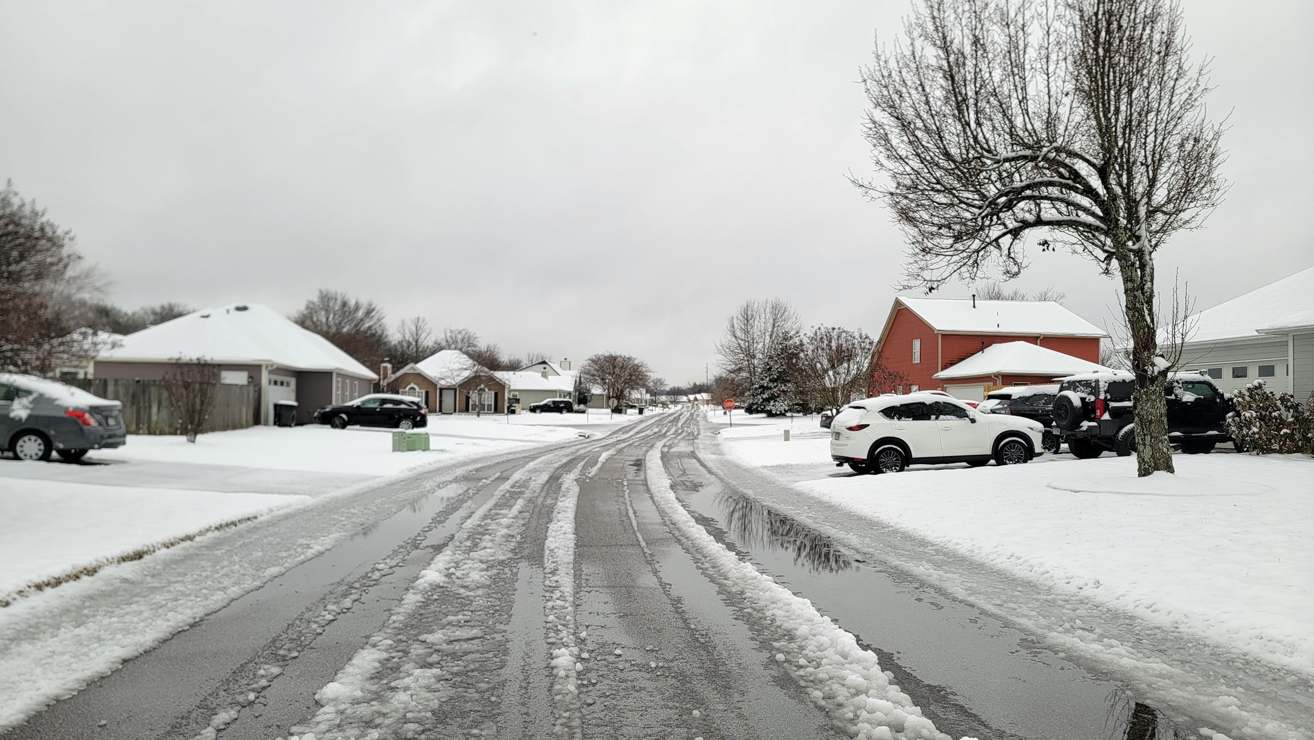 Snow Day in Pelham January 10, 2024