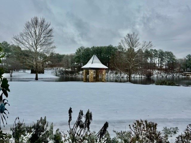 Snow Day in Pelham January 10, 2024