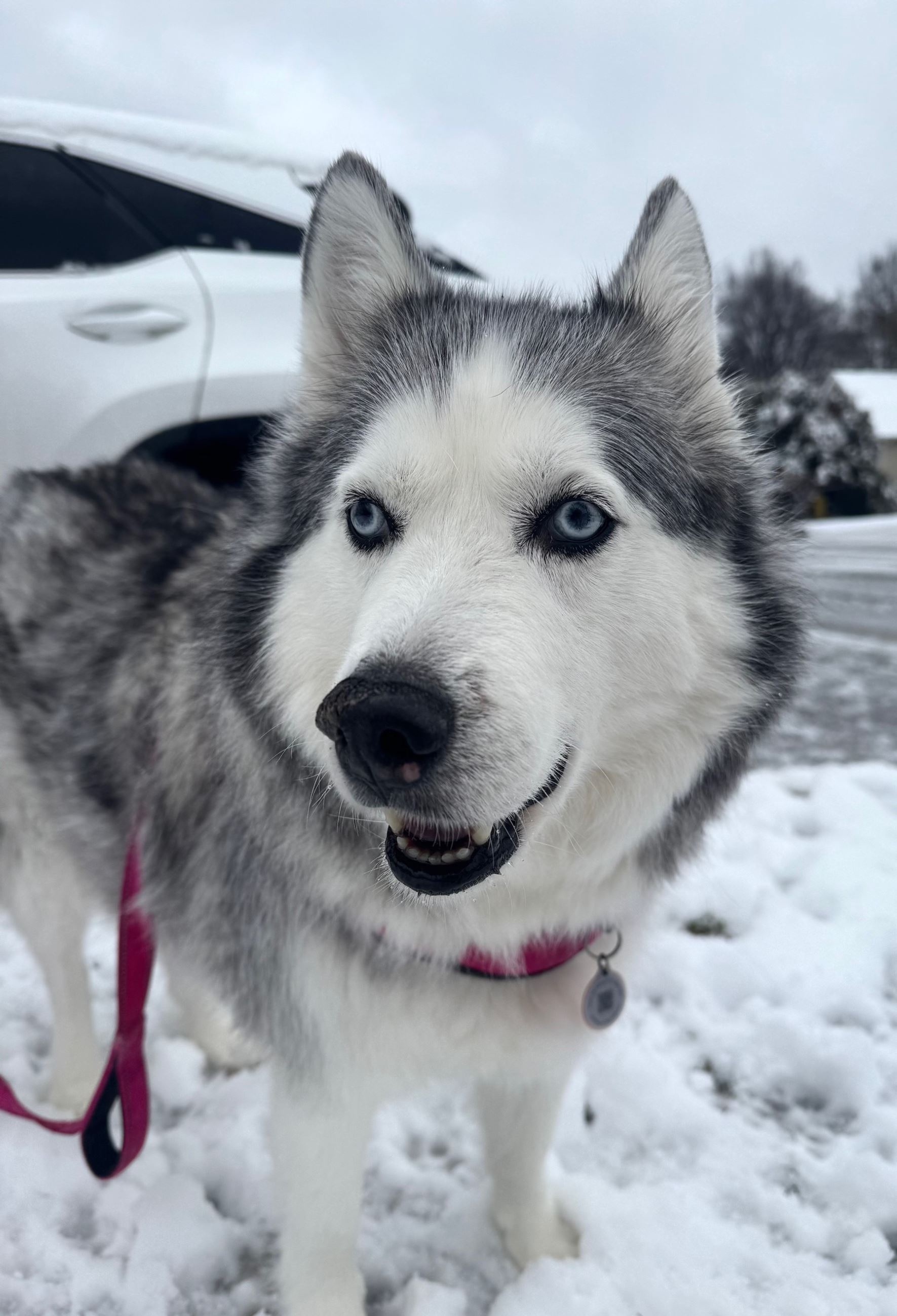 Snow Day in Pelham January 10, 2024